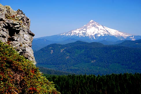 Mount Hood rising above Oregon forests