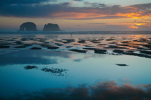 Tillamook County